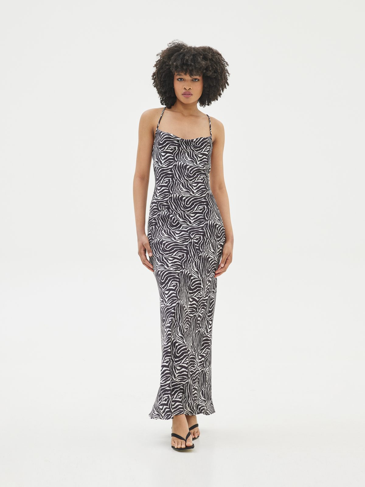 Ray Silk Zebra Dress